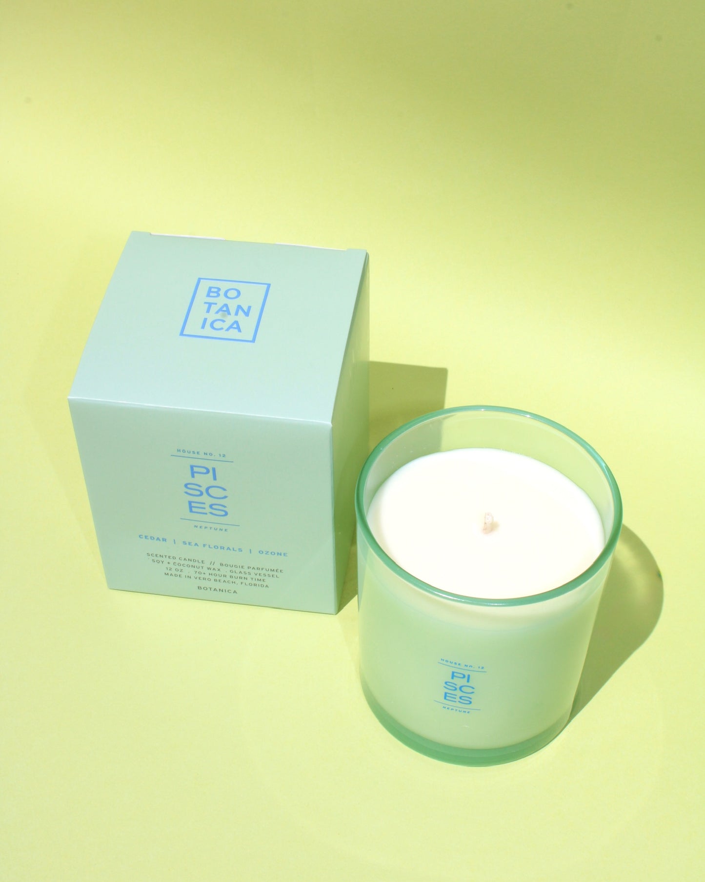 The Zodiac Candle // Pisces