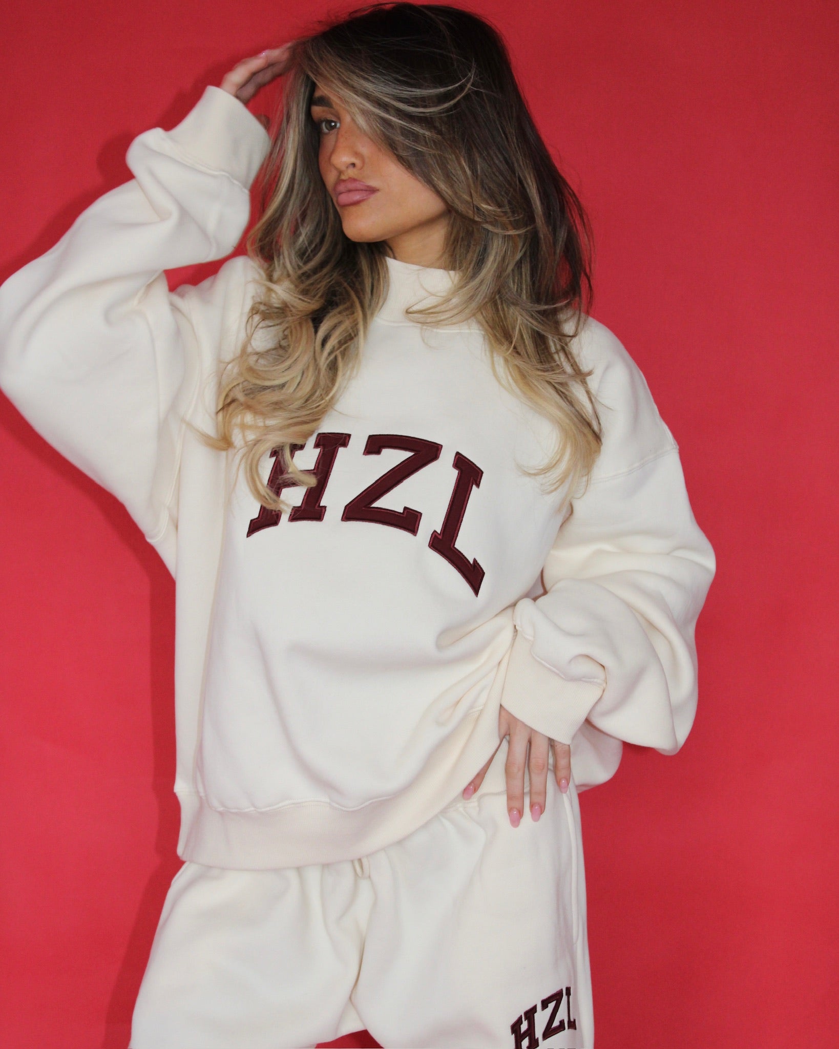 新品　BRIEFING BIG BEAT HIGHNECK RELAXED The HZL Peppermint Mockneck – Hazel Boutique