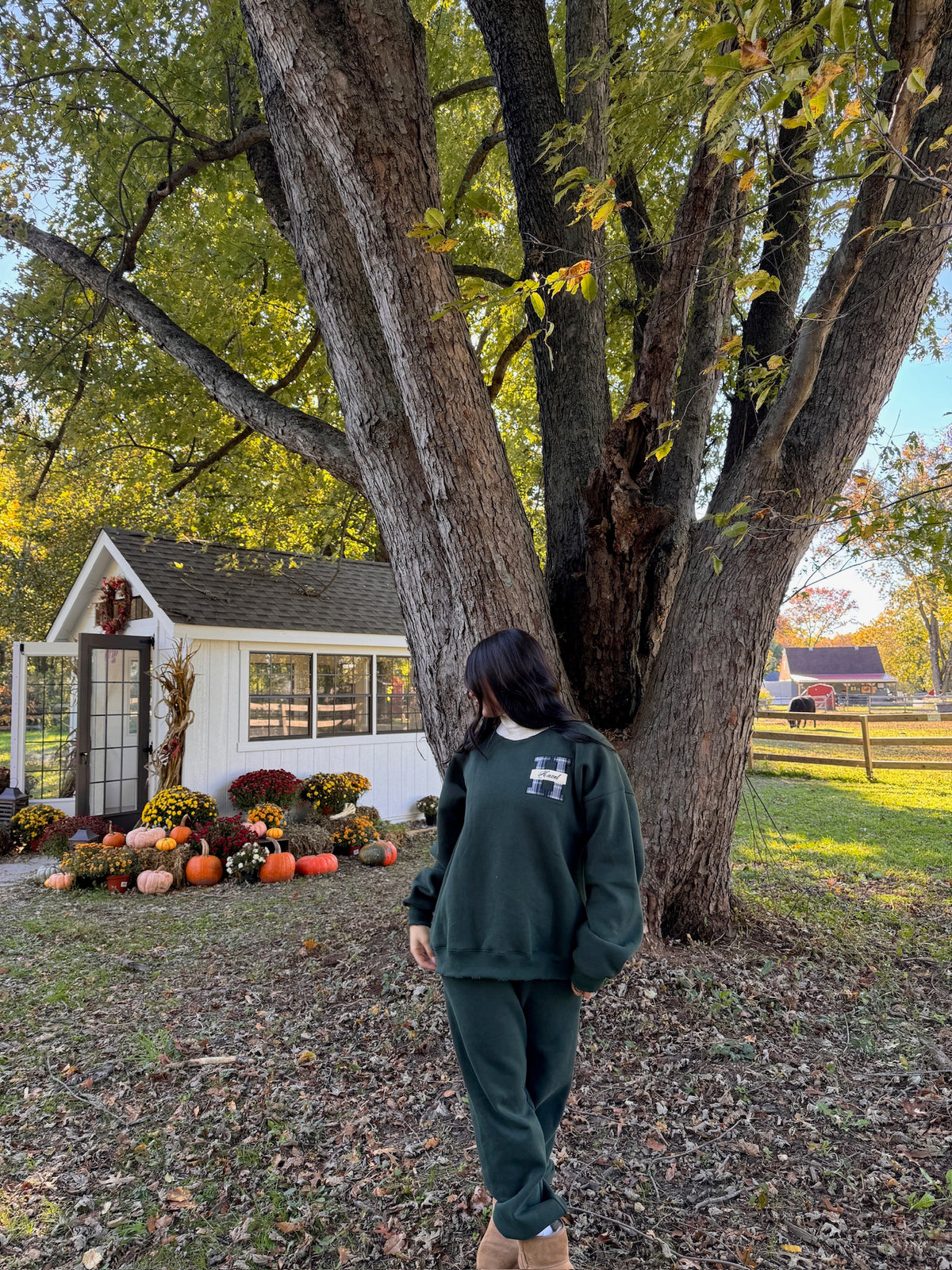 Model wearing green HZL joggers and a matching sweatshirt outdoors beneath a large tree