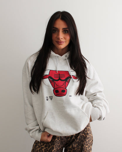 Evi11 Twin Vintage Bulls Hoodie