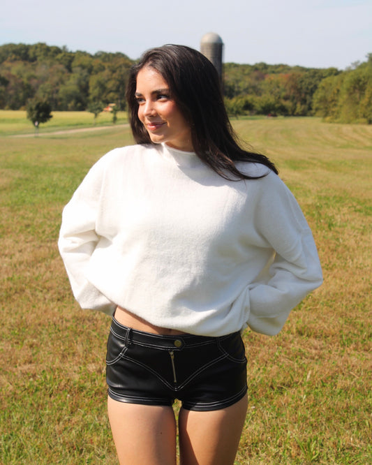 The HZL Leather Hot Shorts