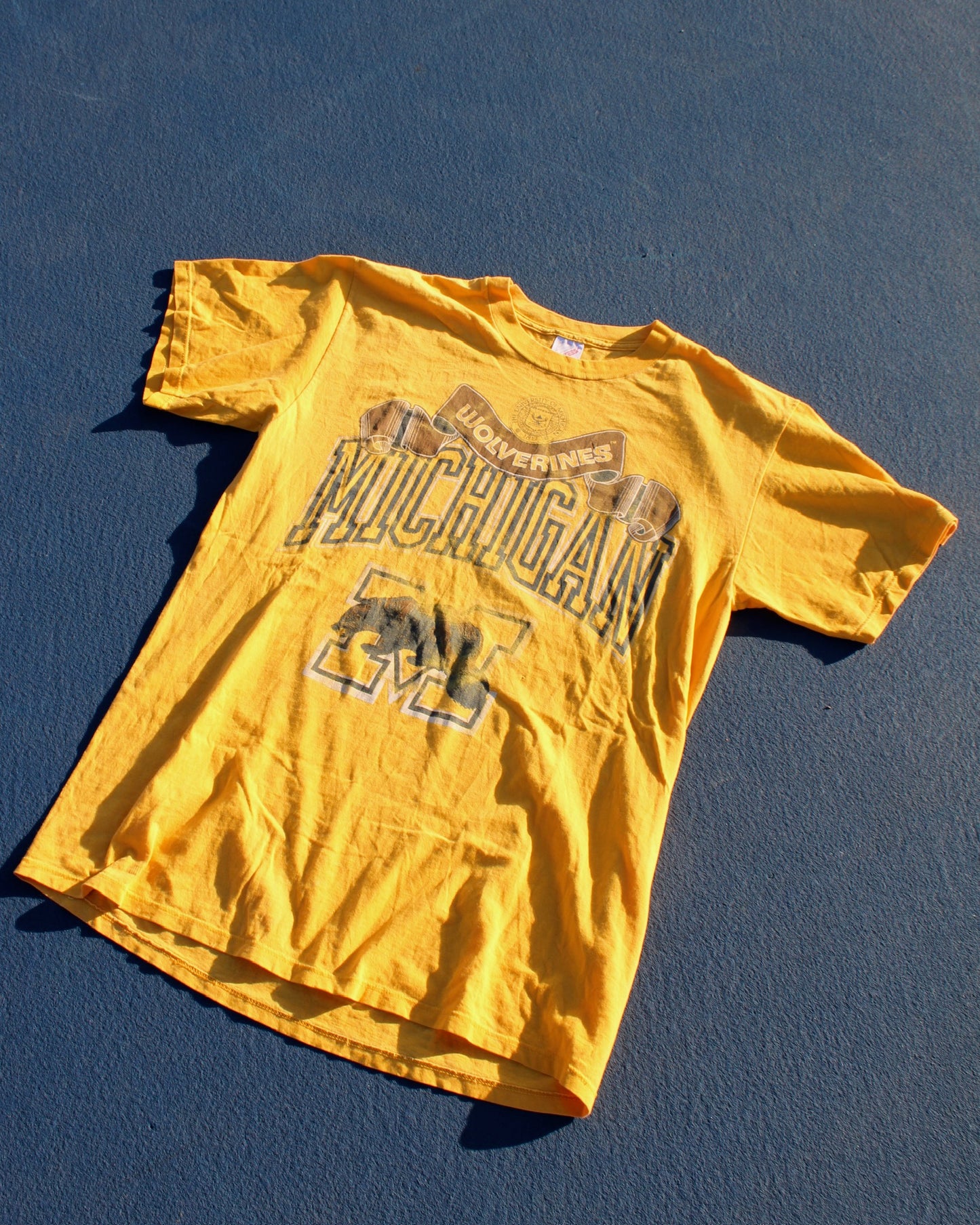 EVI11 Twin Vintage Michigan Tee