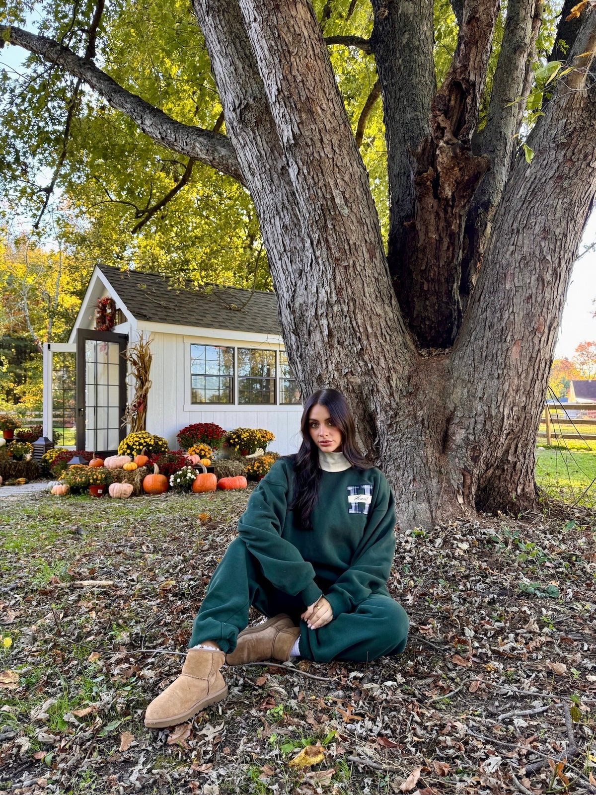 Woman wearing a forest green mockneck sweatshirt seated beneath a large tree in autumn surroundings